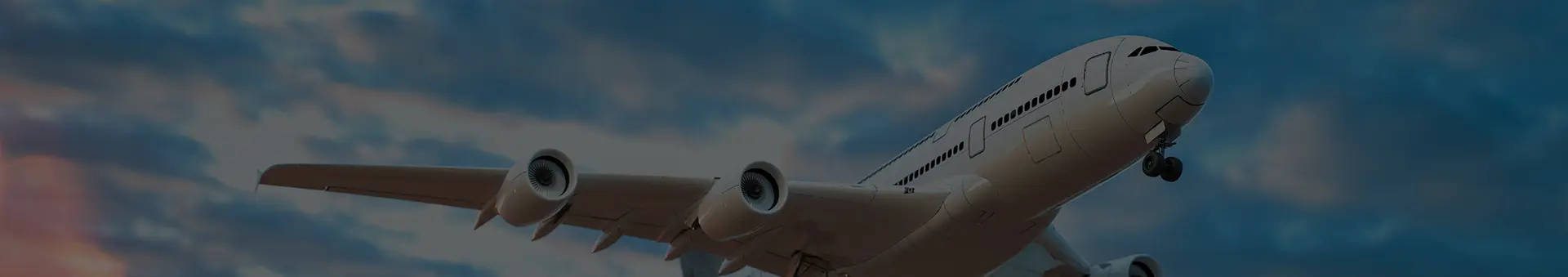 International Transportation